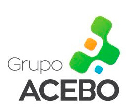 Grupo Acebo